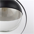 Pemberly Row 15X20 Black Metal Spherical Pendant Light in Clear