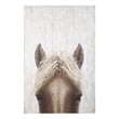 Pemberly Row Contemporary Horse Fringe Painting On Wood in Blue