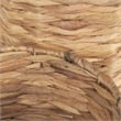 Pemberly Row Modern / Contemporary Grass Baskets (Set of 2) in Brown