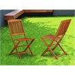 Pemberly Row Traditional Patio Dining Chairs in Natural Oil (Set of 2)
