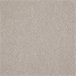 Pemberly Row Set of 2 Boucle Upholstered Barrel Back Accent Chairs in Beige