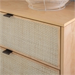 Pemberly Row Set of 4-Piece Woven Rattan Cane Queen Bedroom Set in Natural