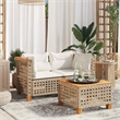 Pemberly Row Synthetic Poly Rattan 2 Pcs Garden Sofa Set in Beige