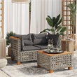 Pemberly Row Synthetic Poly Rattan 2 Pcs Garden Sofa Set in Gray