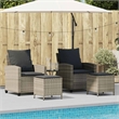Pemberly Row Medium Rattan And Powder-Coated Steel Garden Sofa Set in Light Gray
