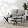 Pemberly Row 2-Piece Modern Metal Conversation Set in Gray/Matte Black