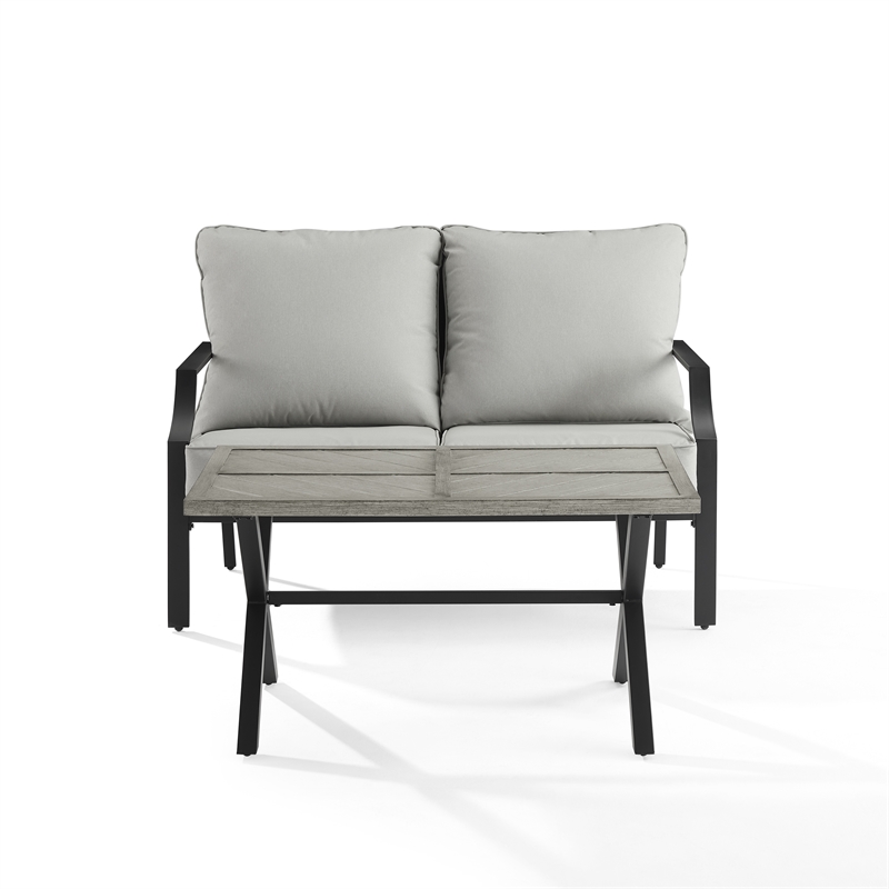 Pemberly Row 2-Piece Modern Metal Conversation Set in Gray/Matte Black