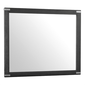 Pemberly Row Bedroom Transitional Wood Dresser Mirror in Black