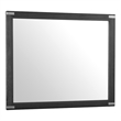 Pemberly Row Bedroom Transitional Wood Dresser Mirror in Black