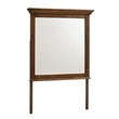 Pemberly Row Youth Transitional Wood Beveled Mirror in Brown Finish