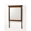 Pemberly Row Youth Transitional Wood Beveled Mirror in Brown Finish