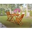 Pemberly Row Outdoor Table and 2 Wood Folding Chairs in Natural Oil Finish