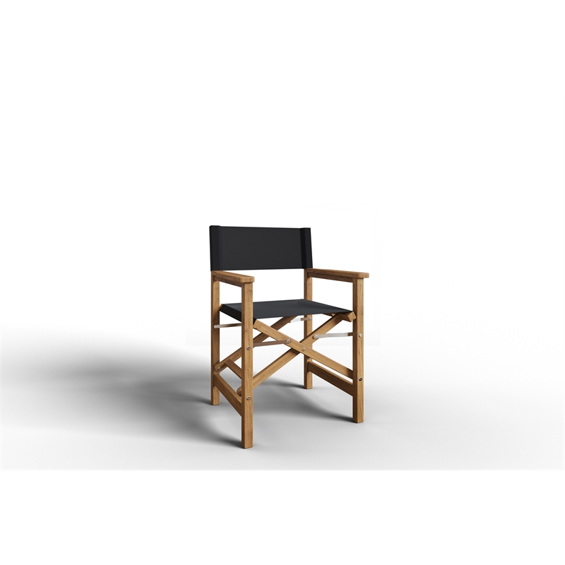Pemberly Row Modern Teak Folding Outdoor Folding Armchair in Black