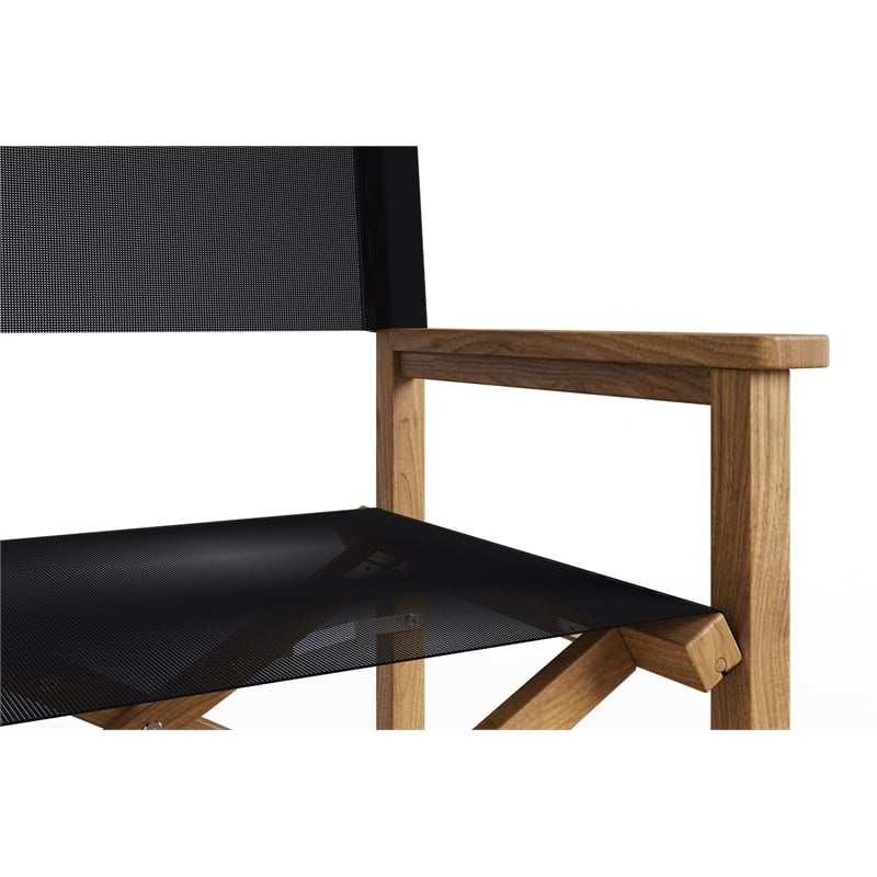 Pemberly Row Modern Teak Folding Outdoor Folding Armchair in Black