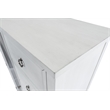 Pemberly Row Contemporary Mirrored Door Chest in White & Soft Grey Glaze