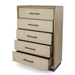 Pemberly Row Contemporary Woven 5-Drawer Chest in Earth Tones & Clay