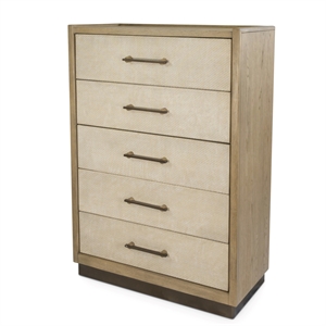 Pemberly Row Contemporary Woven 5-Drawer Chest in Earth Tones & Clay
