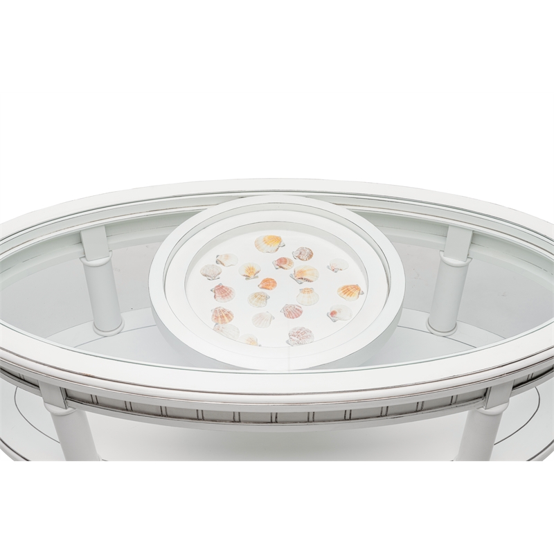 Pemberly Row Contemporary Oval Coffee Table with Anchor Insert in White