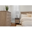 Pemberly Row Contemporary 2-Drawer Nightstand in Glazed Brown Driftwood