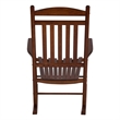 Pemberly Row Traditional Hardwood Indoor/Outdoor Porch Rocker in Brown