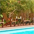 Pemberly Row Traditional Cedar Wood Patio Deck Adirondack Chair in Brown