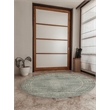 Pemberly Row 5'3 Round Traditional Oriental Vintage Area Rug in Green