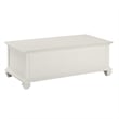 Pemberly Row Modern Farmhouse Soft White Lift-top Wood Coffee Table