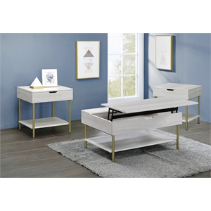 Pemberly Row Mid-Century White Wood and Brass 3-piece Occasional Set