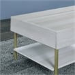 Pemberly Row Contemporary White Wood and Brass Lift Top Coffee Table