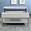 Pemberly Row Contemporary White Wood and Brass Lift Top Coffee Table