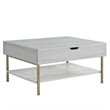 Pemberly Row Contemporary White Wood and Brass Lift Top Coffee Table