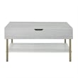 Pemberly Row Contemporary White Wood and Brass Lift Top Coffee Table