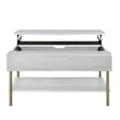 Pemberly Row Contemporary White Wood and Brass Lift Top Coffee Table