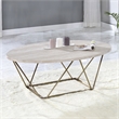 Pemberly Row Engineered Wood/Faux Marble Top Cocktail Table in Gray