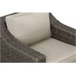 Pemberly Row Swivel Lounge Chair with .5 Round Wicker in Brown (Set of 2)