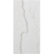 Pemberley Row Marble White Cocktail Table Rectangular with Casters 48