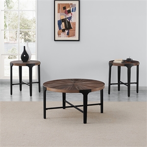 Pemberly Row Contemporary 3-piece Coffee & End Tables Set in Brown