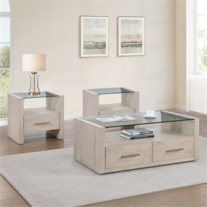 Pemberly Row Contemporary 3-Piece Coffee & End Table Set in Tan