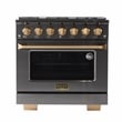 Pemberly Row 36 in Dual Fuel Range Natural Gas & Under Cabinet Range Hood