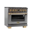 Pemberly Row Dual Fuel Range Propane Gas in Titanium Steel Wall Mount Range Hood