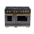 Pemberly Row Dual Fuel Range Natural Gas in Titanium Steel Wall Mount Range Hood