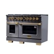 Pemberly Row Dual Fuel Range Propane Gas in Titanium Under Cabinet Range Hood