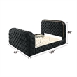 Pemberly Row Velvet Fabric Upholstered Queen Bed with LED and TV Stand in Black