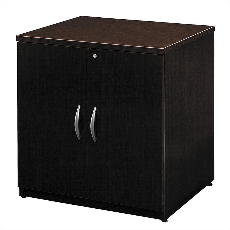 Pemberly Row Engineered Wood 30W Storage Cabinet in Mocha Cherry