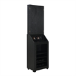 Pemberly Row Contemporary Cabinet with Speaker and LED in Black