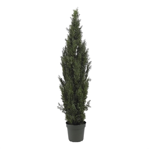 Pemberly Row Plastic Indoor/Outdoor 72&quot Mini Cedar Pine Tree in Green/Black