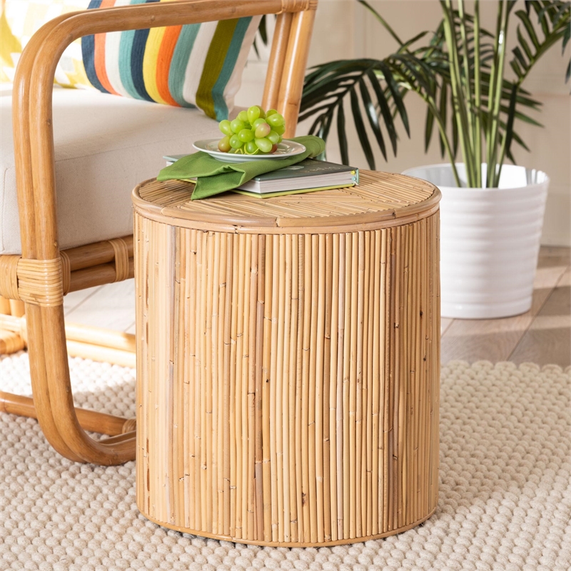Pemberly Row Brown Modern Bohemian Natural Rattan Coffee Table