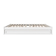 Pemberly Row King Solid Wood Panel Platform Bed with Twin XL Trundle in White