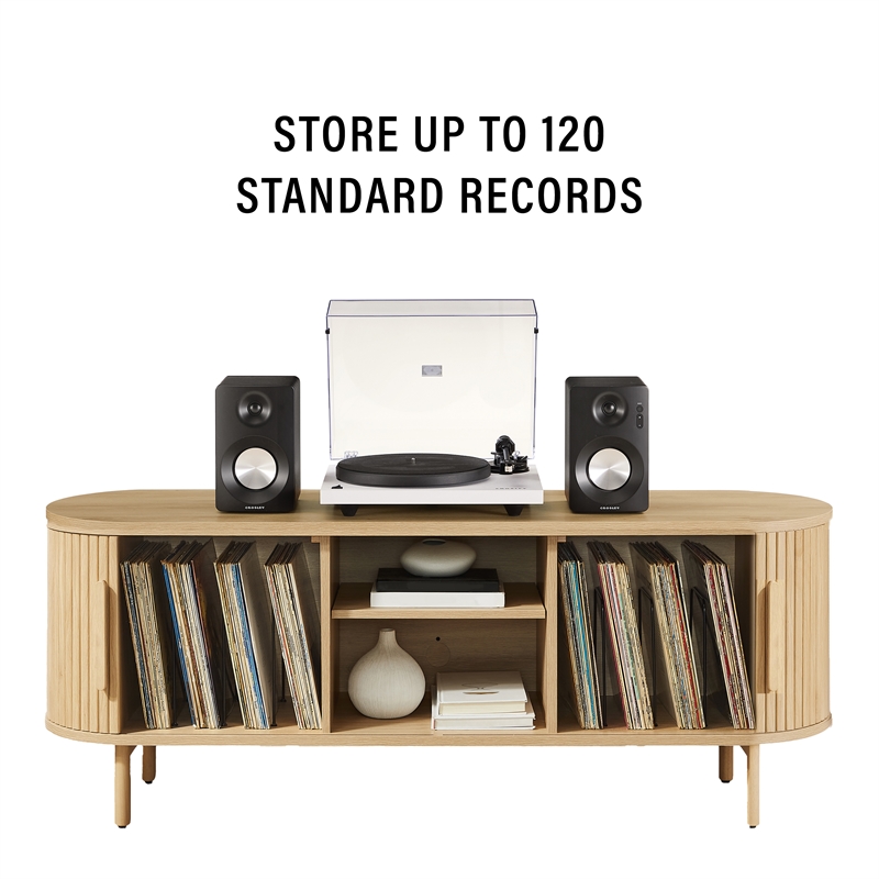Pemberly Row Contemporary Wood Record Storage Media Console in Ash