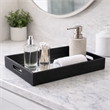 Pemberly Row Labai Shagreen Mirrored Tray in Black with Center Mirror